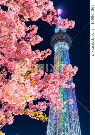 《Tokyo》 Sky Tree and Kawazu Sakura ・ Spring Tokyo 100964865