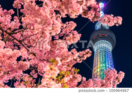《東京》天空之樹和川津櫻・東京春天 《東京》天空之樹和川津櫻・東京春天 100964867