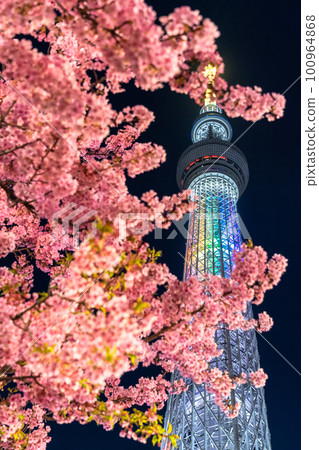 《東京》天空之樹和川津櫻・東京春天 100964868