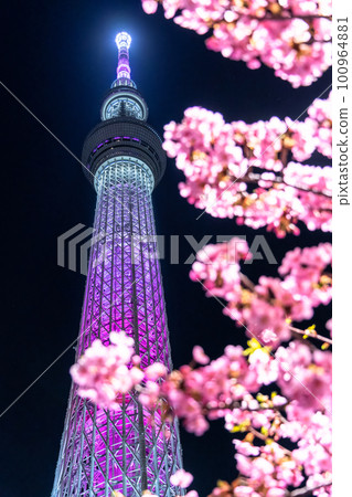 《東京》天空之樹和川津櫻・東京春天 《東京》天空之樹和川津櫻・東京春天 100964881