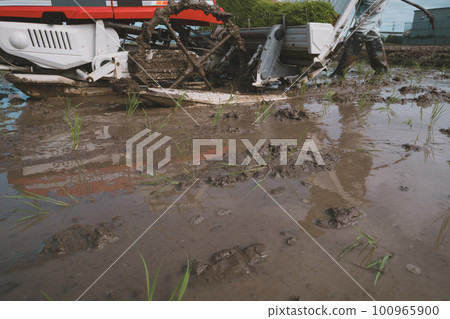 rice planting, rice transplanter, gents 100965900