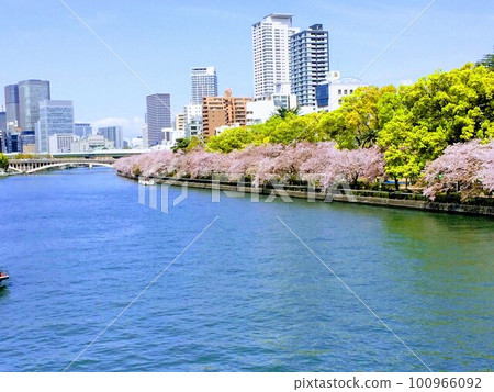 Cherry blossoms along the Okawa River seen from Temmabashi 100966092