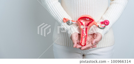 Woman holding Uterus and Ovaries model. Ovarian and Cervical cancer, Cervix disorder, Endometriosis, Hysterectomy, Uterine fibroids, Reproductive system and Pregnancy concept Woman holding Uterus and Ovaries model. Ovarian and Cervical cancer, Cervix disorder, Endometriosis, Hysterectomy, Uterine fibroids, Reproductive system and Pregnancy concept 100966314