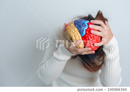 Woman holding human Brain model. World Brain Tumor day, Brain Stroke, Dementia, alzheimer, parkinson and world mental health concept 100966360