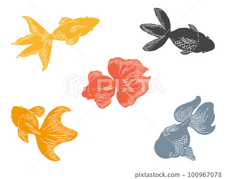 游泳金魚線描插圖素材 100967078