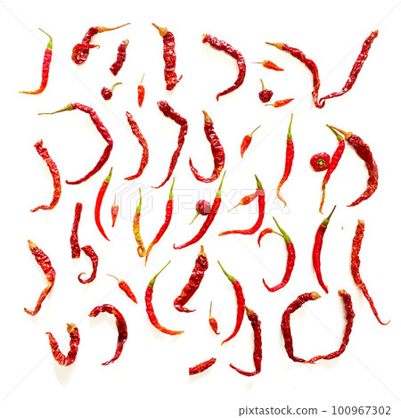 Set of various types of chili pepper spices in white back photography 100967302