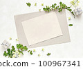 Frame of small presents and vine rose leaves 100967341