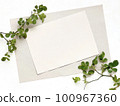 Vine rose leaf frame 100967360