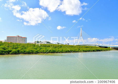 俯瞰豐見大橋（沖繩縣豐見城市）[2023 年 2 月] 100967406