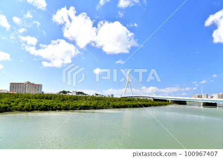 Overlooking Toyomi Ohashi Bridge (Tomigusuku City, Okinawa Prefecture) [February 2023] 100967407