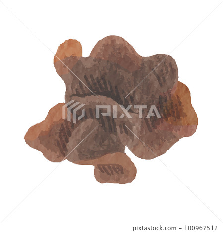 Kikurage 手繪插圖 Kikurage 手繪插圖 100967512