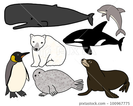 海洋生物的可愛插圖 100967775