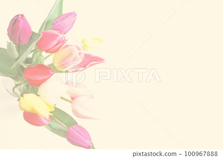 五顏六色的鬱金香花束 100967888