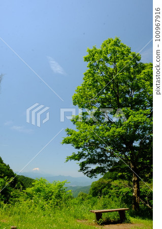 從神場街道展望台眺望富士山[5月，相模原市津久井] 100967916