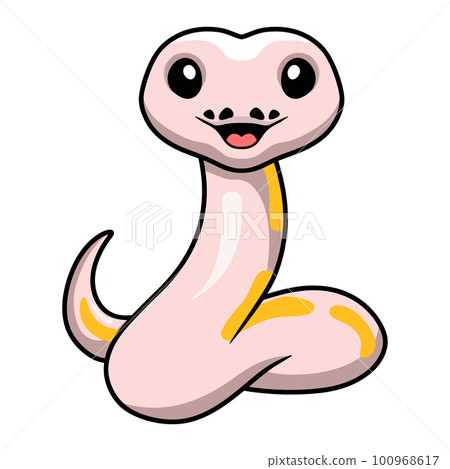 Cute super cinnamon banana ball python cartoon 100968617