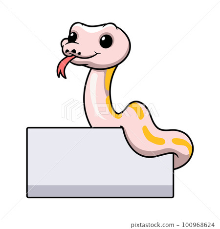 Cute super cinnamon banana ball python cartoon with blank sign Cute super cinnamon banana ball python cartoon with blank sign 100968624