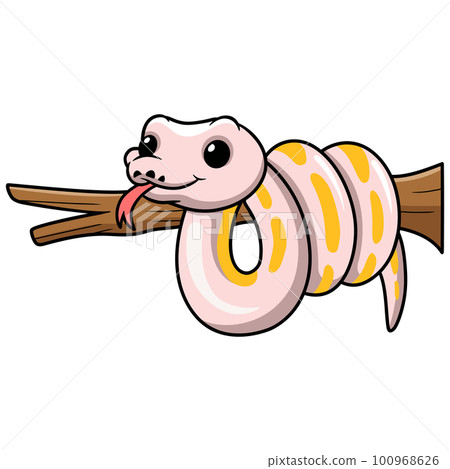 Cute super cinnamon banana ball python cartoon on tree branch Cute super cinnamon banana ball python cartoon on tree branch 100968626
