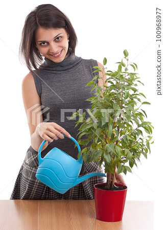 Woman irrigate plants in flowerpots Woman irrigate plants in flowerpots 100968977