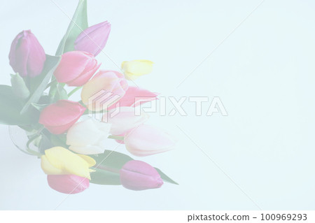 Bouquet of colorful tulips on blue background 100969293