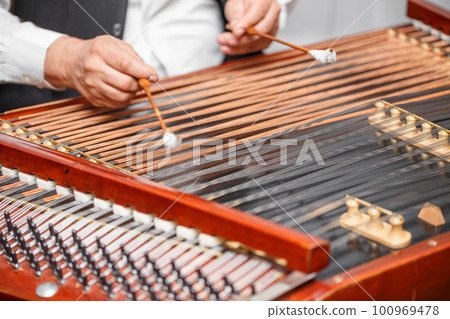 Traditional musical instrument 100969478