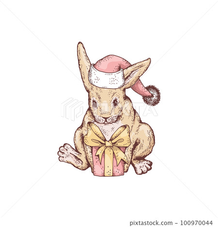 Cute rabbit in Santa Claus hat holding Christmas present, sketch vector illustration isolated on white background. 100970044