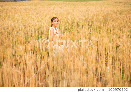 Young Asian women  in white dresses  in the Barley rice field 100970592