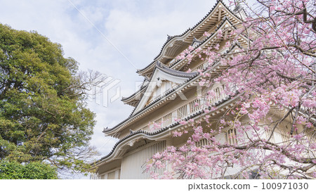 【千葉縣】春天的櫻花與井之花公園、井之花城跡、千葉市立民俗博物館 【千葉縣】春天的櫻花與井之花公園、井之花城跡、千葉市立民俗博物館 100971030