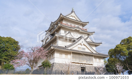 【千葉縣】春天的櫻花與井之花公園、井之花城跡、千葉市立民俗博物館 100971033