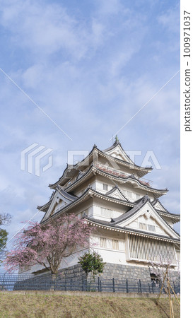 [Chiba Prefecture] Cherry Blossoms in Spring and Inohana Park, Inohana Castle Ruins, Chiba Municipal Folk Museum 100971037