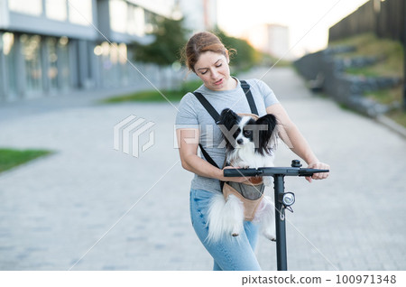A woman rides an electric scooter with a dog in a backpack. Pappilion Spaniel Continental in a sling. A woman rides an electric scooter with a dog in a backpack. Pappilion Spaniel Continental in a sling. 100971348