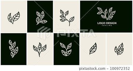 Line art leaf logo design set. Line leaf logo. Retro nature logo. Line art leaf logo design set. Line leaf logo. Retro nature logo. 100972352