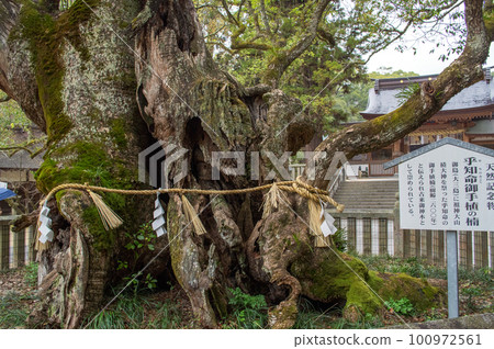 Oyamagi Shrine, Omishima Island, Ehime Prefecture 100972561