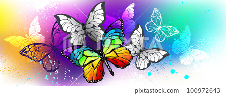 Profile title with rainbow butterfly 100972643