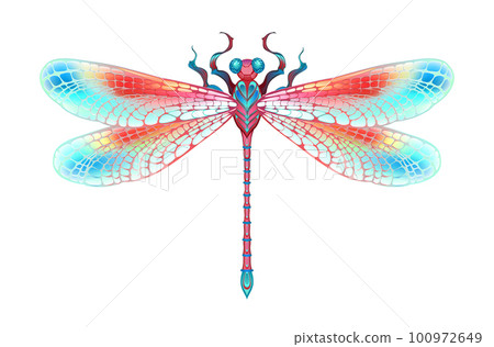 Red dragonfly Red dragonfly 100972649