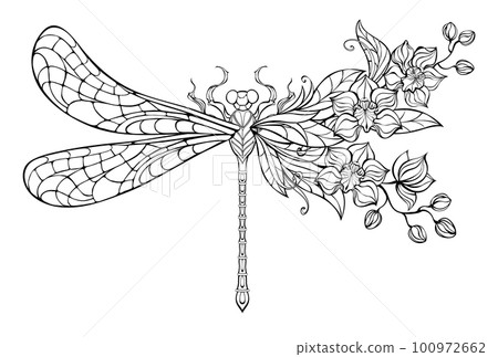 Flower dragonfly with contour orchid Flower dragonfly with contour orchid 100972662