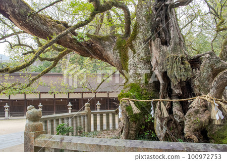 Oyamagi Shrine, Omishima Island, Ehime Prefecture Oyamagi Shrine, Omishima Island, Ehime Prefecture 100972753