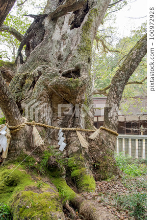 愛媛縣大三島大山城神社 100972928