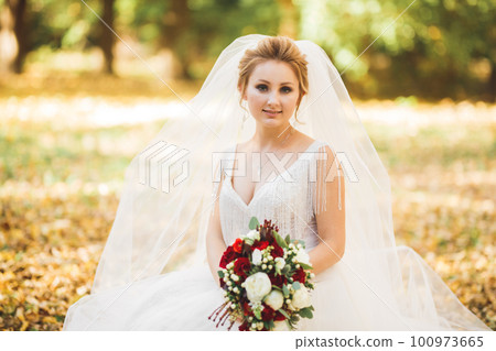 Beautiful fashion bride in wedding dress posing Beautiful fashion bride in wedding dress posing 100973665