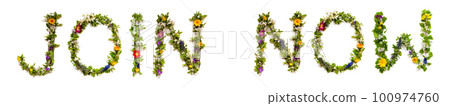 Colorful Blooming Flower Letters Building Word Join Now Colorful Blooming Flower Letters Building Word Join Now 100974760
