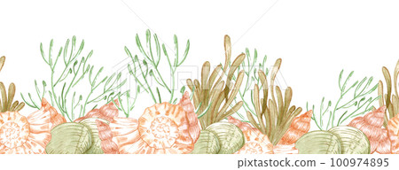 Hand drawn watercolor seashells and seaweed seamless boarder. Isolated on white background. Can be used for textile, fabric, banner. Hand drawn watercolor seashells and seaweed seamless boarder. Isolated on white background. Can be used for textile, fabric, banner. 100974895