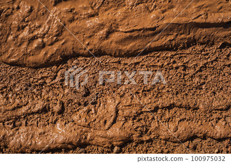 Wet dirty mud on field background texture. Top view 100975032