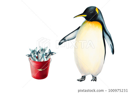 Watercolor king penguin with red bucket full of fish. For designers, decoration, postcards, wrapping paper, scrapbooking, cover and logos, invitations, posters and textile Watercolor king penguin with red bucket full of fish. For designers, decoration, postcards, wrapping paper, scrapbooking, cover and logos, invitations, posters and textile 100975231