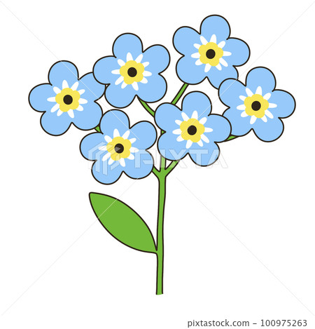 Waslenagsa 100975263