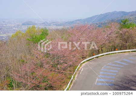 View of Yoshinogawa City and Ishii Town from Cherry Road Line, Tokushima Prefecture 100975264