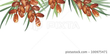 Watercolor frame dry dates fruit and palm. Hand-drawn illustration isolated on white background. Perfect for islamic celebration day ramadan kareem, eid al fitr adha, arabesque design. Watercolor frame dry dates fruit and palm. Hand-drawn illustration isolated on white background. Perfect for islamic celebration day ramadan kareem, eid al fitr adha, arabesque design. 100975471