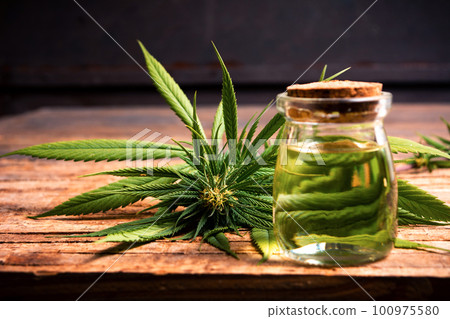 Marijuana plant with buds and essential oil Marijuana plant with buds and essential oil 100975580