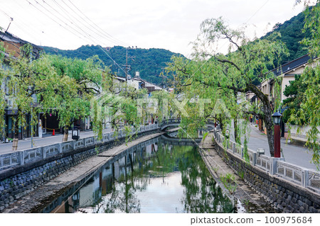 城崎溫泉河岸的寧靜早晨柳大道（兵庫縣豐岡市） 100975684