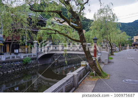 城崎溫泉河岸的寧靜早晨柳大道（兵庫縣豐岡市） 100975687