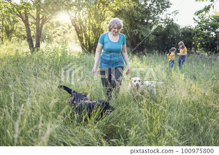 Elderly grayhaired woman with her lovely dogs in the park. 100975800
