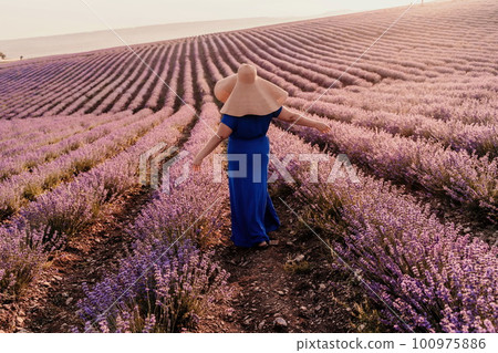Woman lavender field sunset. Romantic woman walks through the lavender fields. illuminated by sunset sunlight. She is wearing a blue dress with a hat. 100975886